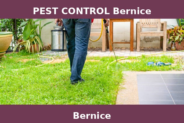 PEST CONTROL Bernice